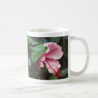 rosa Hibiskus Tasse
