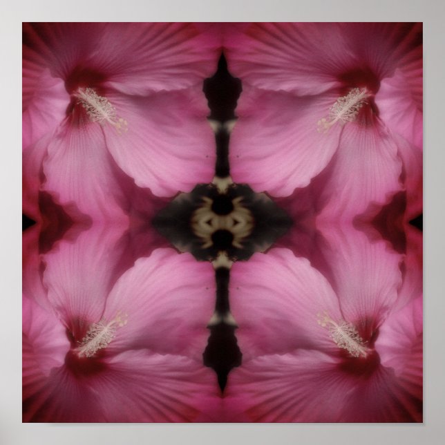 Rosa Hibiskus Teilfarbige Abstrakte Vintag Poster (Vorne)