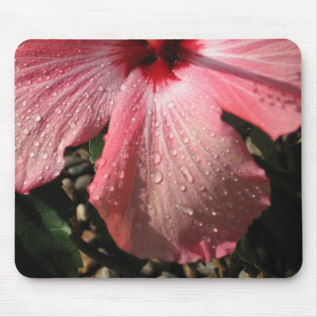Rosa Hibiskus-Wasser-Tropfen Mousepad (Vorne)