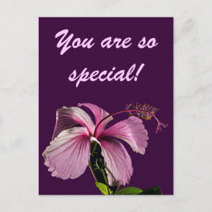 Rosa Hibiskusblüte Seitenansicht Postkarte