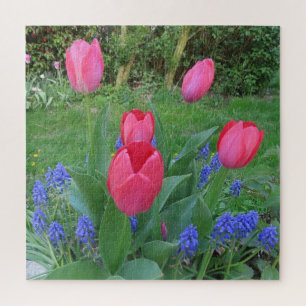 Rosa, Hintergrund, Blüte, Blume, Natur, Puzzle