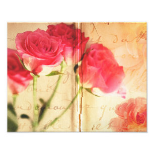 Rosa Hintergrund Collage Rose Blume Fotodruck