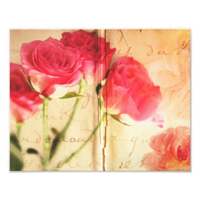Rosa Hintergrund Collage Rose Blume Fotodruck (Vorne)