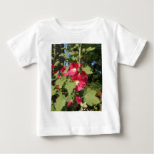 Rosa Hollyhock
