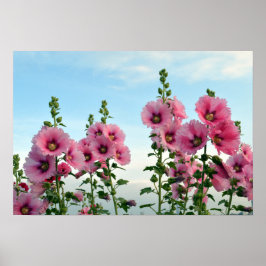 Rosa Hollyhock-Blume Poster