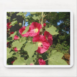 Rosa Hollyhock Mousepad
