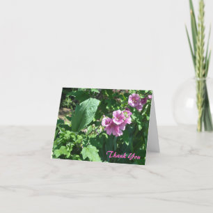 Rosa Hollyhocks danken Ihnen Dankeskarte