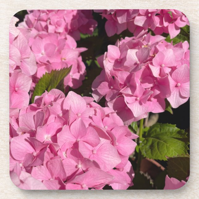  Rosa Hortensie Getränkeuntersetzer (Vorderseite)