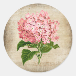 Rosa Hortensie Runder Aufkleber