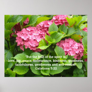 Rosa Hortensien mit Bibelvers Poster