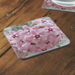 Rosa Hoya Pflanze Blume Getränkeuntersetzer