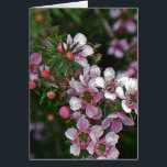 rosa hübsch<br><div class="desc">hübsche Kaskade aus rosa Blume und Blattwerk</div>