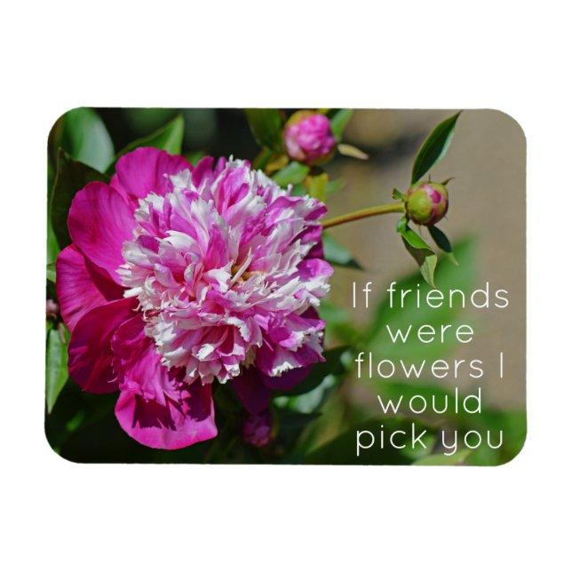 Rosa Hütte Peony Blume Friend Magnet (Horizontal)