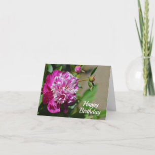 Rosa Hütte Peony Blume Happy Birthday Card Karte