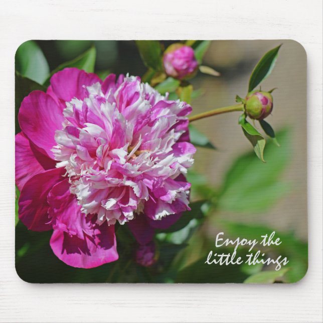 Rosa Hütte Peony Blume Motivation Mousepad (Vorne)