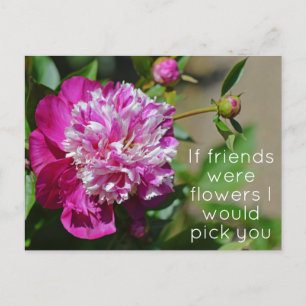 Rosa Hütte Peony Blume Puff Postkarte