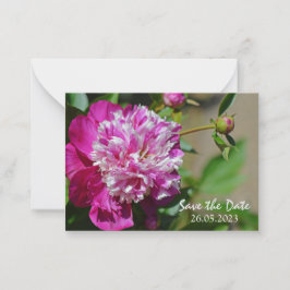 Rosa Hütte Peony Blume Save the Date Mitteilungskarte