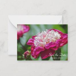 Rosa Hütte Peony Botanische Blume Mitteilungskarte