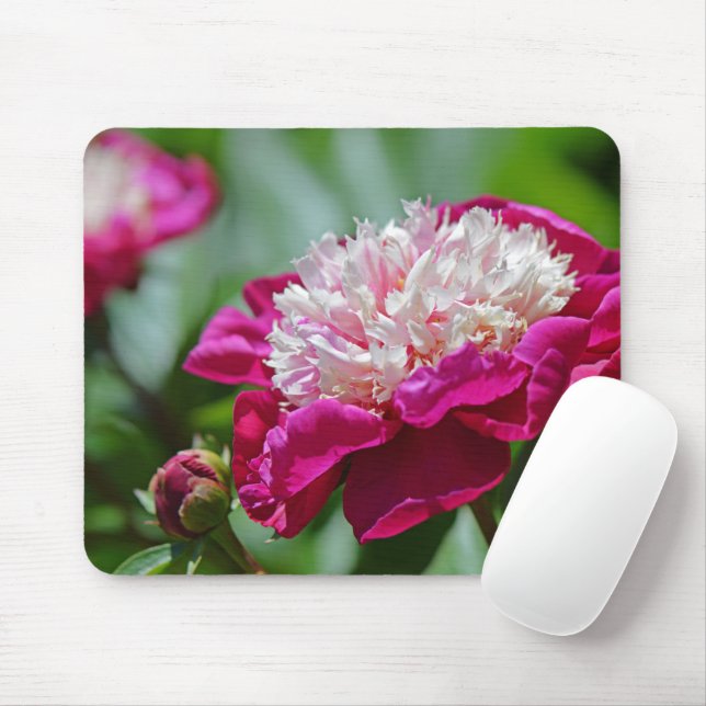 Rosa Hütte Peony Botanischer Garten Blume Mousepad (Mit Mouse)