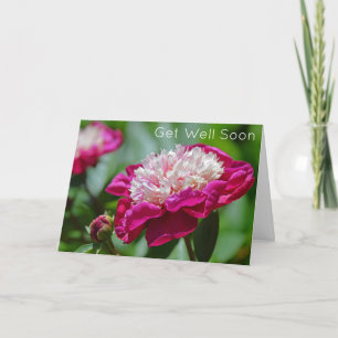 Rosa Hütte Peony Garden Blume bald gut Karte