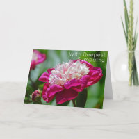 Rosa Hütte Peony Garden Blume Tief Beileid