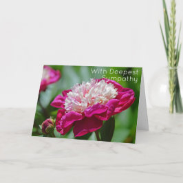 Rosa Hütte Peony Garden Blume Tief Beileid Karte