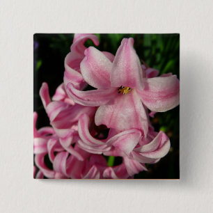 Rosa Hyacinth Frühlingsfloral Button