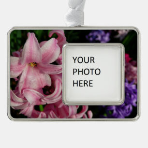 Rosa Hyacinth Frühlingsfloral Rahmen-Ornament Silber
