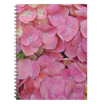 Rosa Hydrangea Blume Journal