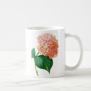 Rosa Hydrangea durch Pierre Joseph Redoute Tasse
