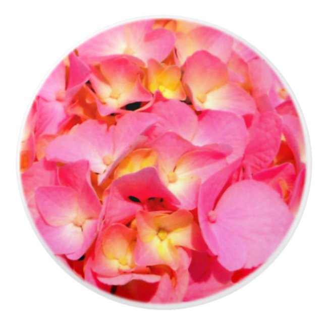 Rosa Hydrangea Keramikknauf (Vorderseite)