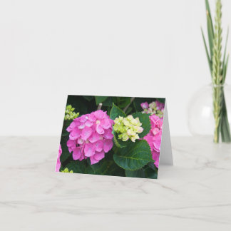 Rosa Hydrangea Notecards Karte