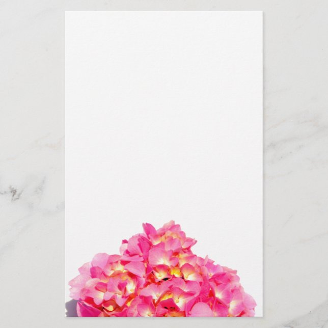 Rosa Hydrangea Rosa Blume Briefpapier (Vorderseite)
