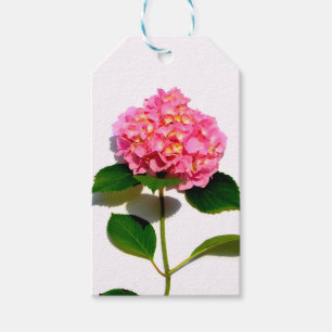 Rosa Hydrangea Rosa Blume Geschenkanhänger