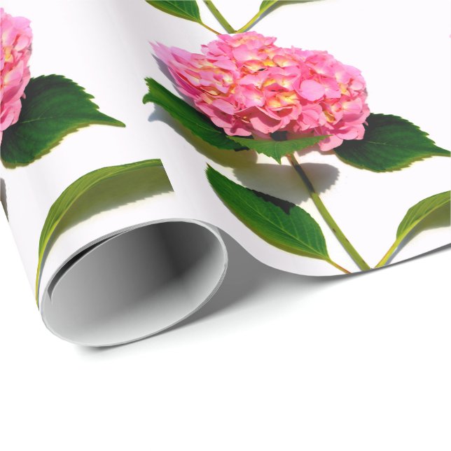 Rosa Hydrangea Rosa Blume Geschenkpapier (Rolleneckpunkt)