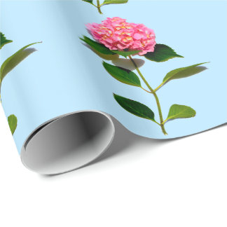 Rosa Hydrangea Rosa Blume Geschenkpapier