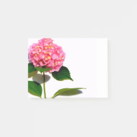 Rosa Hydrangea Rosa Blume