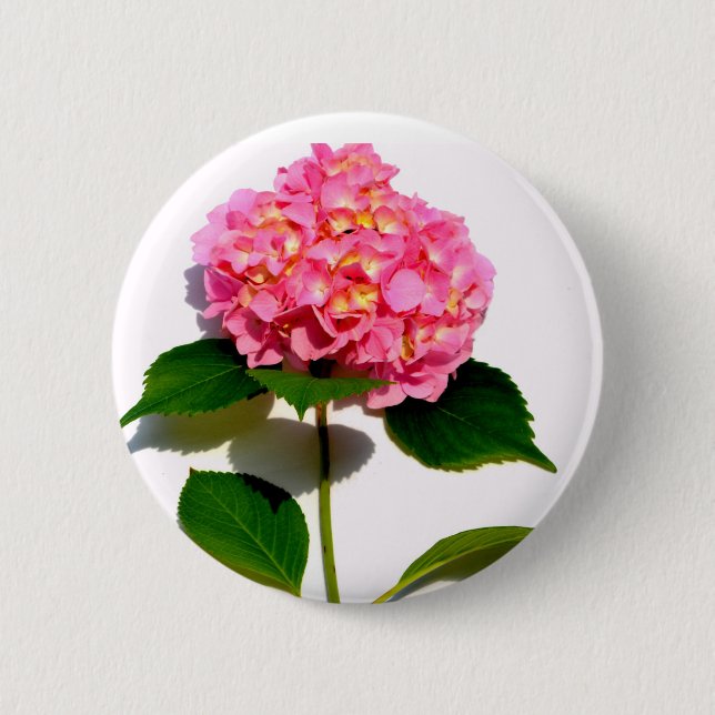 Rosa Hydrangea Rosa Blume Rosa Blüte Button (Vorderseite)