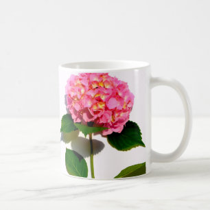 Rosa Hydrangea Rosa Blume Rosa Blüte Tasse