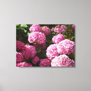 Rosa Hydrangeas Leinwanddruck