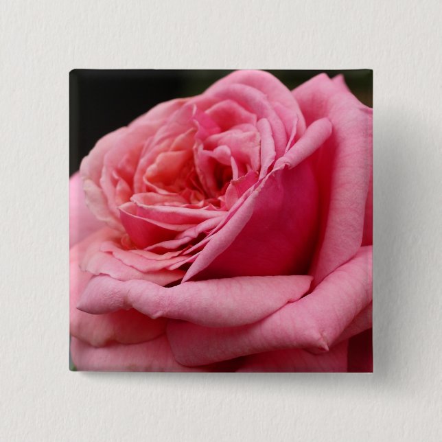 Rosa I Hübsche Blumenfotografie Button (Vorderseite)