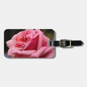 Rosa I Hübsche Blumenfotografie Gepäckanhänger