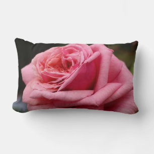 Rosa I Hübsche Blumenfotografie Lendenkissen