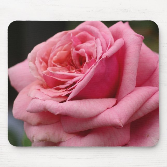 Rosa I Hübsche Blumenfotografie Mousepad (Vorne)