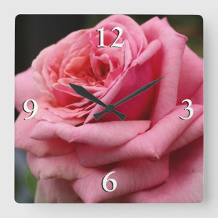 Rosa I Hübsche Blumenfotografie Quadratische Wanduhr