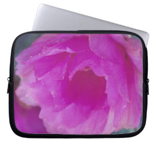 Rosa Igel Kaktusblüte (Echinocereus) Laptopschutzhülle