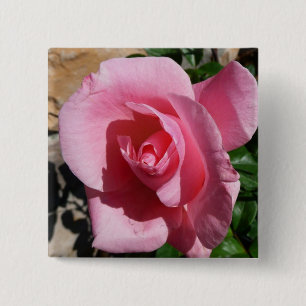 Rosa III Garten Blumen Button