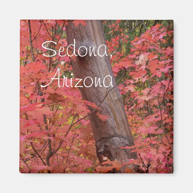 Rosa in Sedona, Arizona Magnet (Vorne)