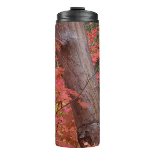 Rosa in Sedona, Arizona Thermosbecher