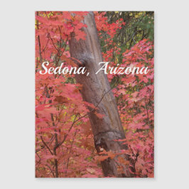 Rosa in Sedona Magnetkarte